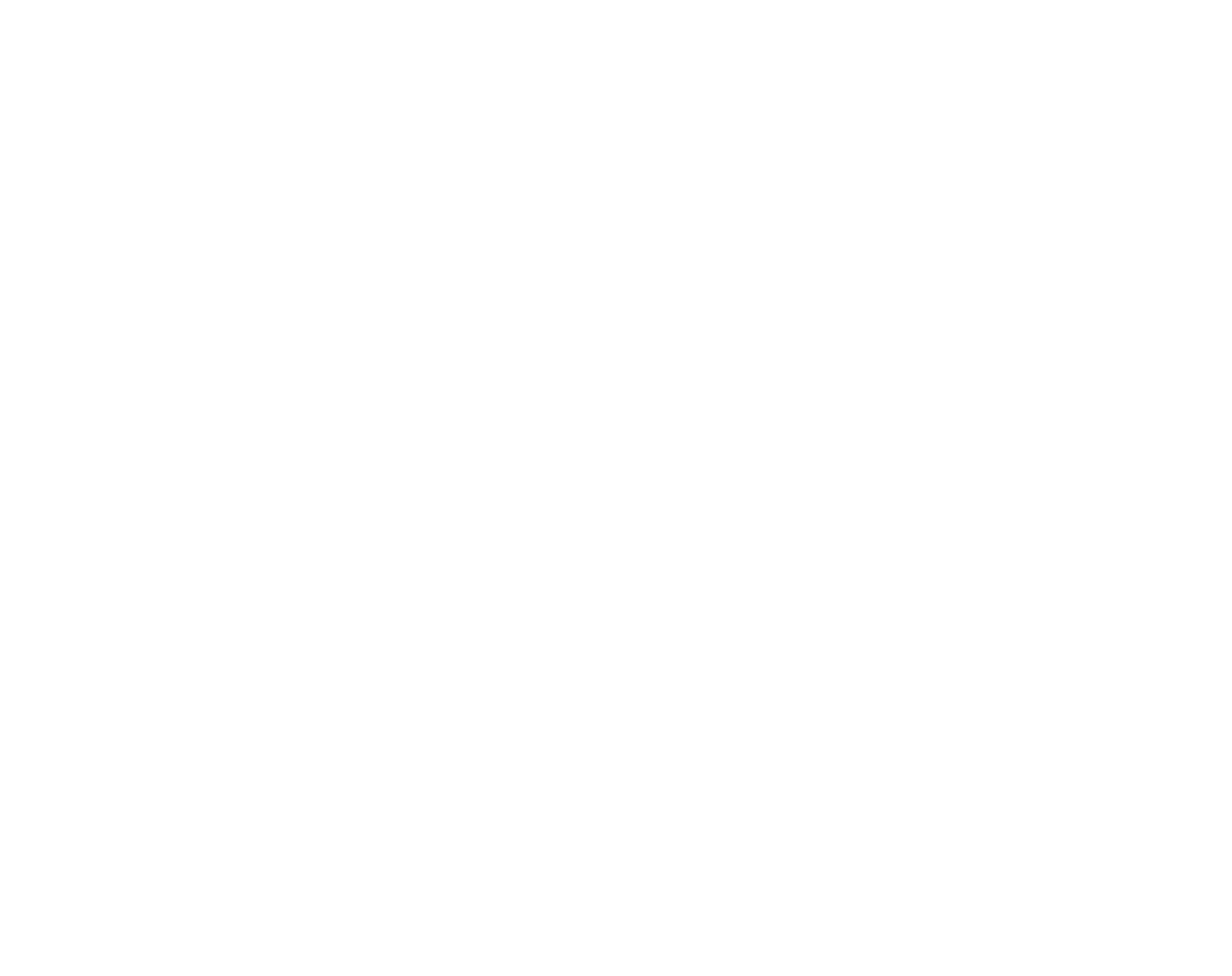 Logo Zopone